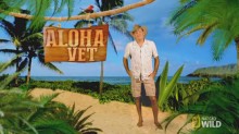 Aloha Vet